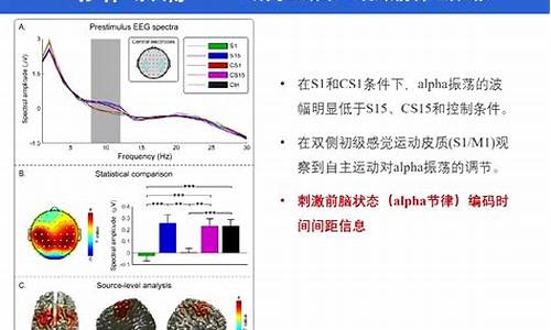 脑电模拟器如何提高决策质量